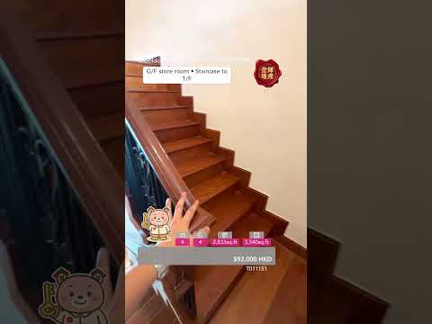 Hong Kong Gold Coast Youtube Video