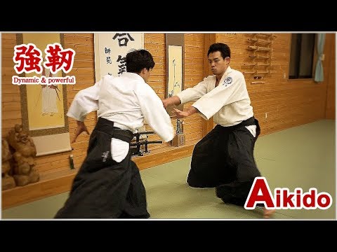 Dynamic and powerful Aikido - Abe Toshiharu from Aikido Shinburenseijuku