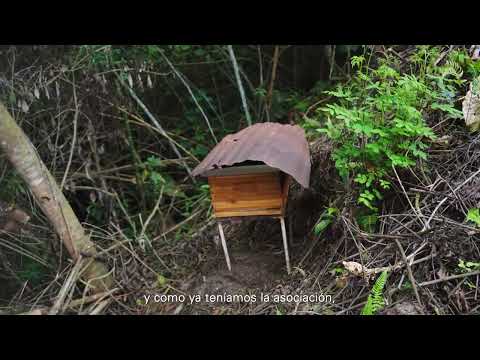 miPáramo Emprende - ASOAPITONA - Tona, Santander