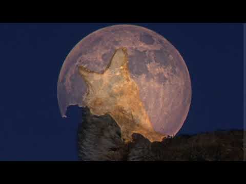 Half Moon at Checkerboard Mesa for Oboe and Soundtrack by Phillip Bimstein