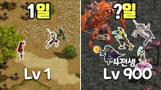 20년이 넘은 그 시절 게임 붉은 보석을 **일간 육성하기