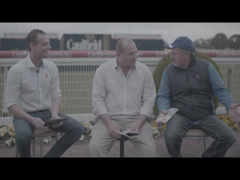 The Mounting Yard - Cox Plate & Manikato Stakes Edition