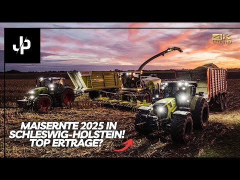 2025 corn harvest in Schleswig-Holstein! Top yields? || JP Agrar