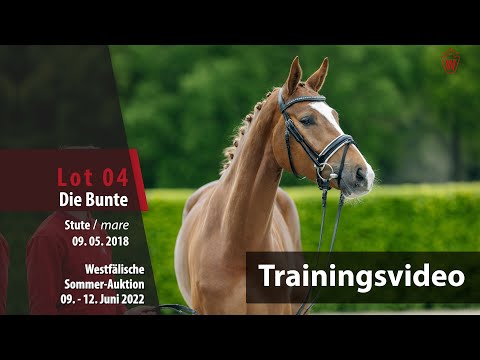 Sommer-Auktion Training Lot 4 Die Bunte Stute v. Da Vinci Code - Rockwell