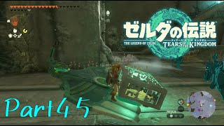 今回は封印されしものの部品集めになります。-ゼルダの伝説 Tears of the Kingdom -part45-