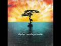 Display - Paz 