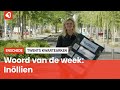 Het Twentse woord van de week: Inöllien!