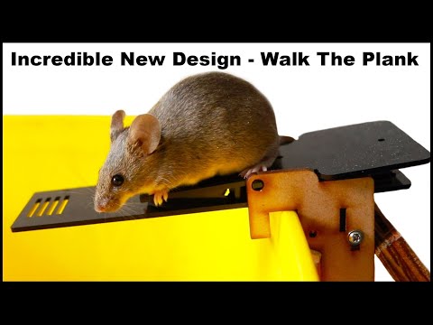 Incredible New Design Catches 10 Mice In One Night. The PLANKY B Mouse Trap. Mousetrap Monday.