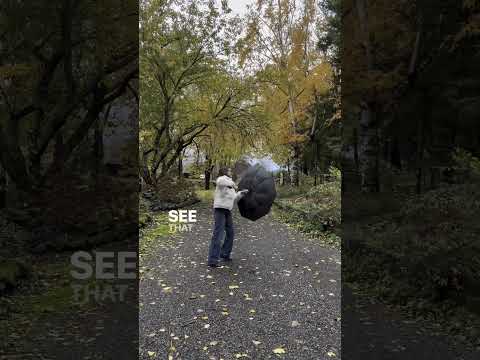 Windproof Umbrellas: Vortex V2 vs. an Amazon Bestseller