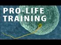 Pro Life Training The Case Against Abortion And For Human Rights