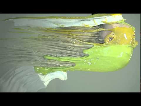 Rökkurró - The Backbone