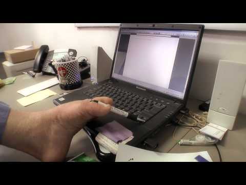 Understanding The Whole Person