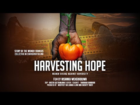 HARVESTING HOPE - Women Rising Against Adversity | Documentary film by Nisanka Weheraduwa.
