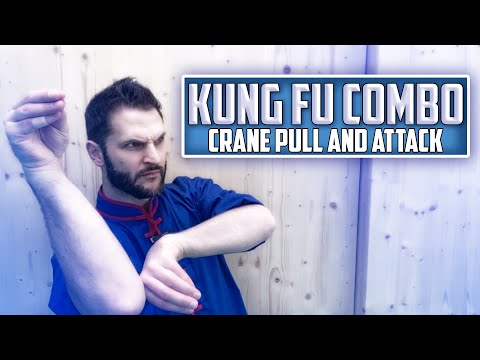 Kung Fu Combo - Crane Pull and Attack