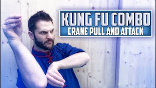 Kung Fu Combo - Crane Pull and Attack