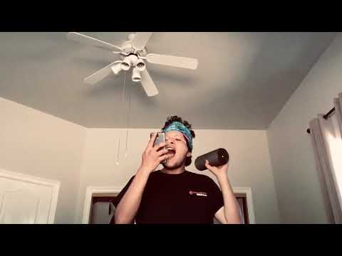 29 Celebrity Impressions, 1 Original Song REAL VERSION