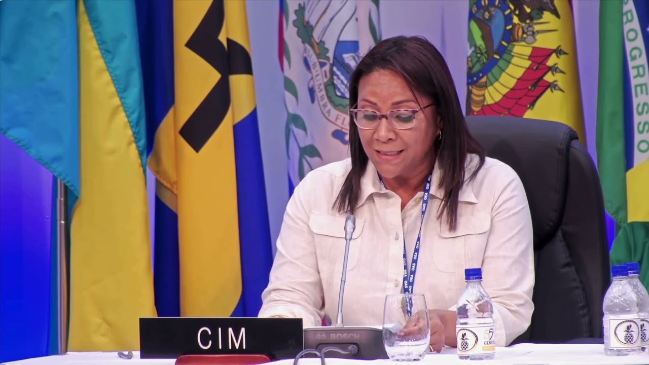 Presentación: Informe de Labores 2024 ante la Asamblea General de la OEA