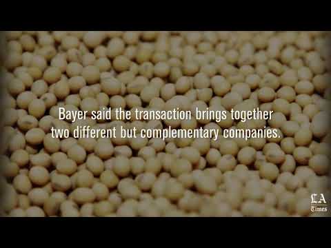 Bayer to Buy Monsanto, Creating a Massive Seeds and Pesticides Company -  Scientific American