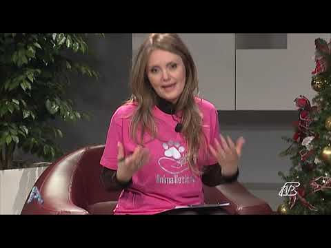 ANGOLI 10/12/2019: ANIMA METICCIA ONLUS E IL CANENDARIO 2020