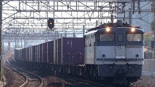 preview picture of video 'JR貨物 EF65-2094 貨物列車 (遅れ5087レ JR貨物更新色 青プレ) 大高駅'