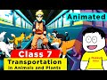 Transportation In Animals And Plants Full Chapter Class 7 Science NCERT Science Class 7 Chapter 7