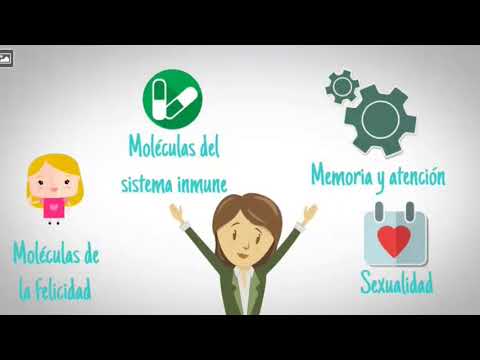 Endorfina - Neurotransmisor