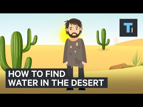 how to find water in the desert 15 minute news how to find water in the desert 15 minute news