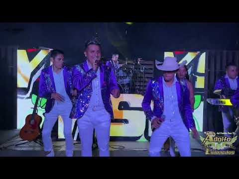 Yo lloraré Adolfo y sus Limoncitos 2023