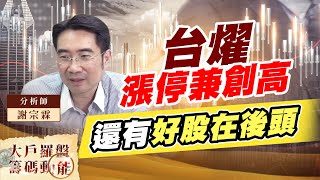 台燿漲停兼創高 還有好股在後頭 (圖)