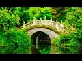 Peaceful Relaxing Instrumental Music, Meditation Calm Music, "Celtic Land and Sea" By Tim Janis
