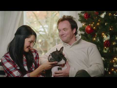 Pet Parents Go Overboard Impressing their Dog for Christmas | Freshpet Holiday