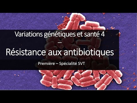 Cours Spé SVT 1eres - La résistance aux antibiotiques
