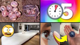 25 Cosas que NO Sabías hace 5 minutos!! ⏰😲 [260]