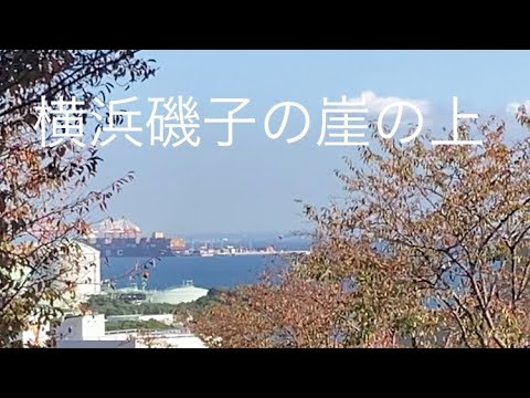 En el acantilado de Isogo, Yokohama.