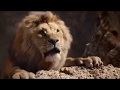 Long Live The King HD