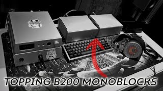 $600 Monoblocks \\ Topping B200