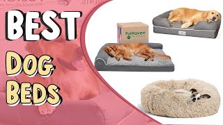 Dog Bed Top 5 Best Dog Beds | Luxury Dog Beds | Best Budget Dog Bed Review,