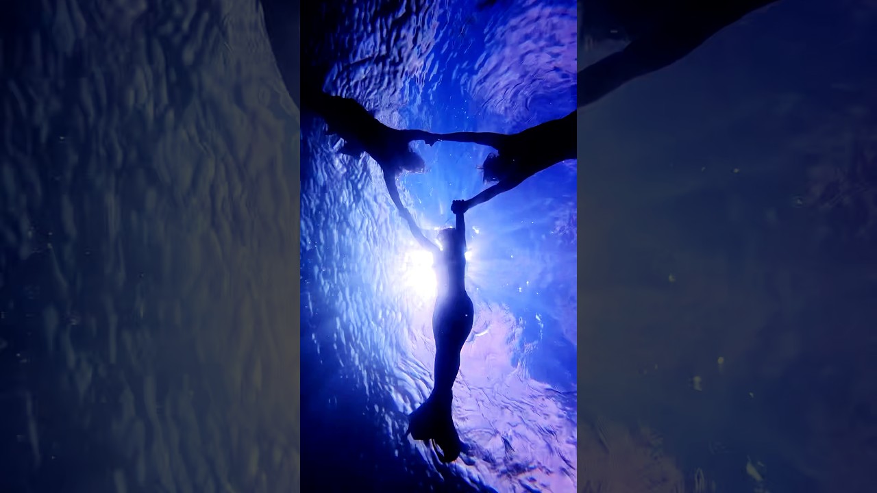 Promotional video thumbnail 5 for Marilyn Rose