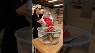 You’ll NEVER believe what she made with a plastic tub! 😱🌱