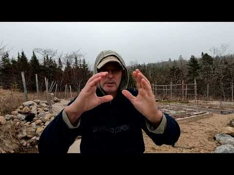 Maritime Gardening: Early Planting Q&A for Season Extension