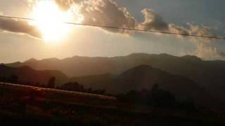 Angel Doves by Mindy Smith