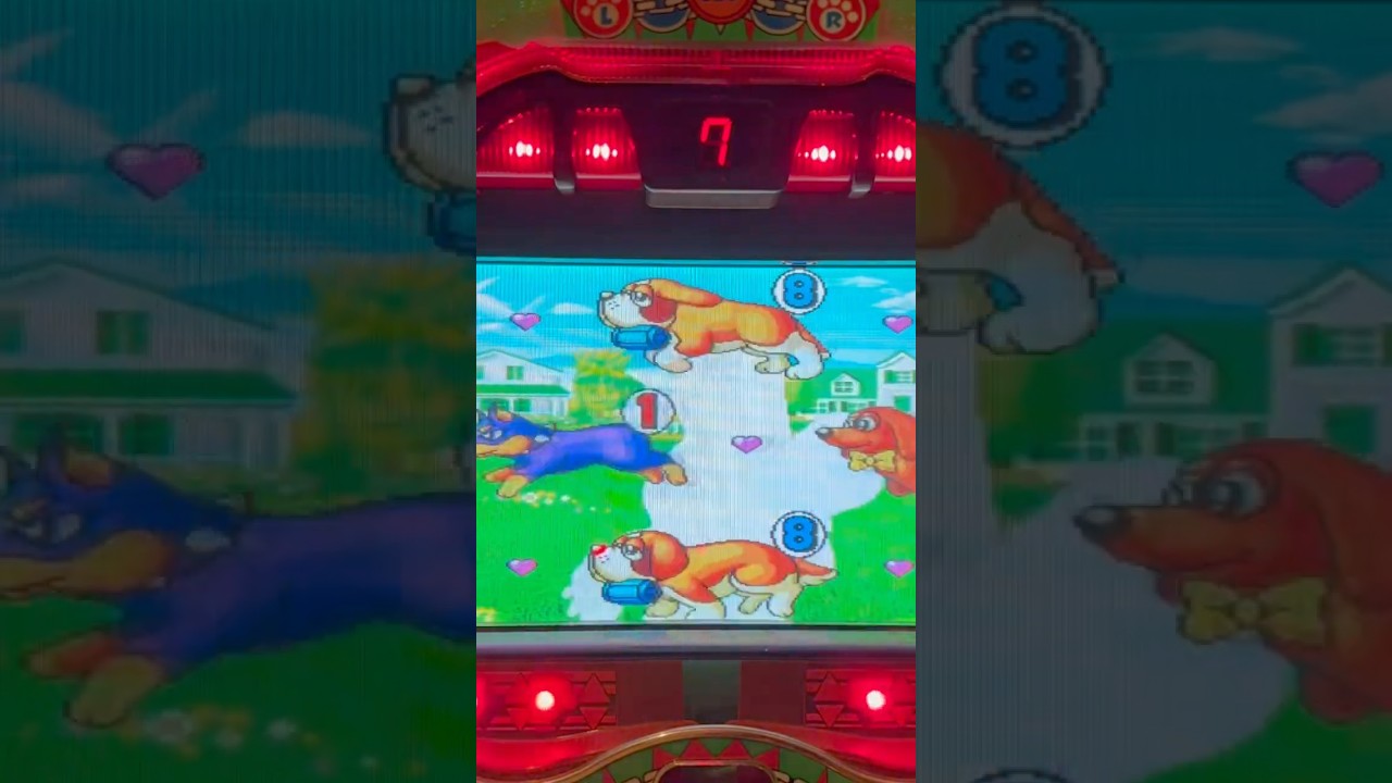 Shorts わんわんパラダイス