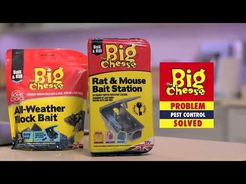 Bait And Kill Treatments To Protect Your Garden From Rats  - COM149