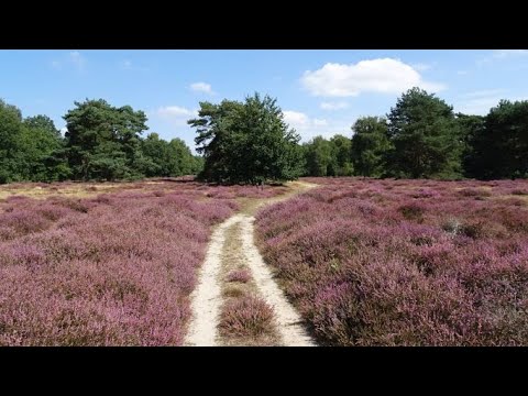 1609 Beegden (Limburg NL) 11 km