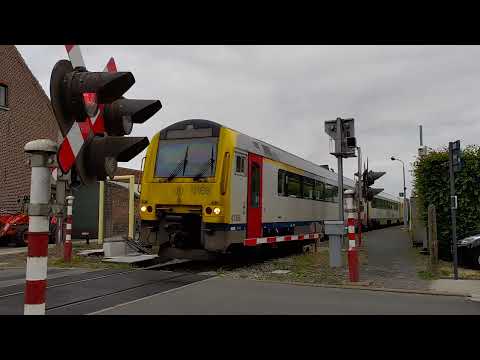 Bambrugge (BE), departure NMBS P 7984 with destination Burst. (10/06/2022) Friendly driver!
