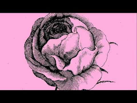 Tying Tiffany  - Into the light (official video) 2022