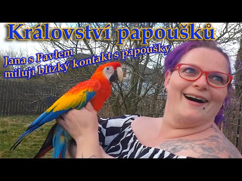 586 - Jana se svým přítelem Pavlem milují blízký kontakt s papoušky