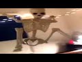 Perfectly Cut Screams Memes