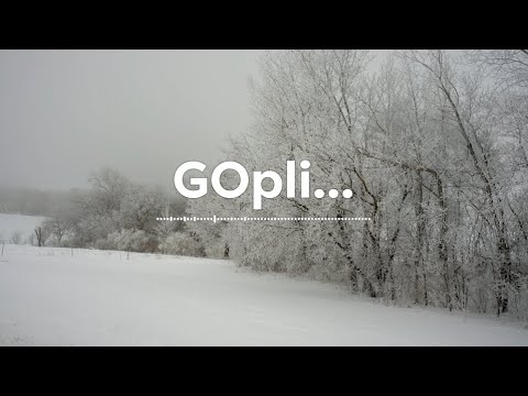 𝘗𝘭𝘢𝘺𝘭𝘪𝘴𝘵  심야음악 저물어가는 겨울 공기 마시며 듣는 찐 감성플리 | Maximilian Hecker 플레이리스트