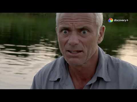 One of the most fearsome fish in the world | River Monsters: Dangerous Encounters